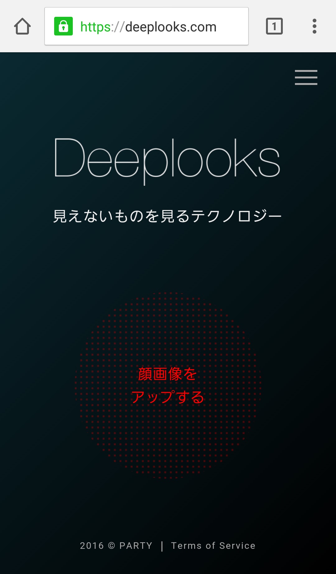 Deeplooks2