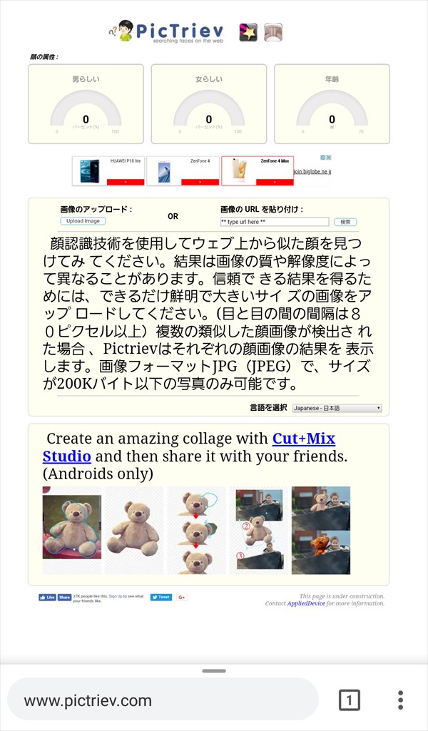 pictriev,-顔検索エンジン1